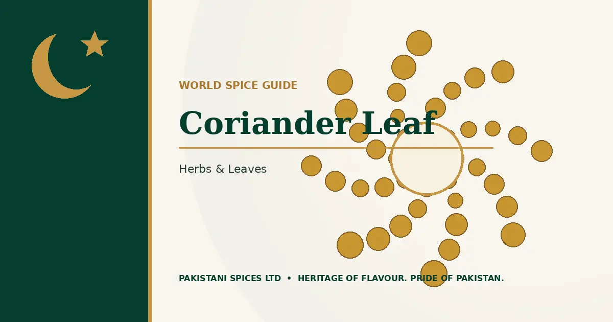 Coriander Leaf dedicated guide image