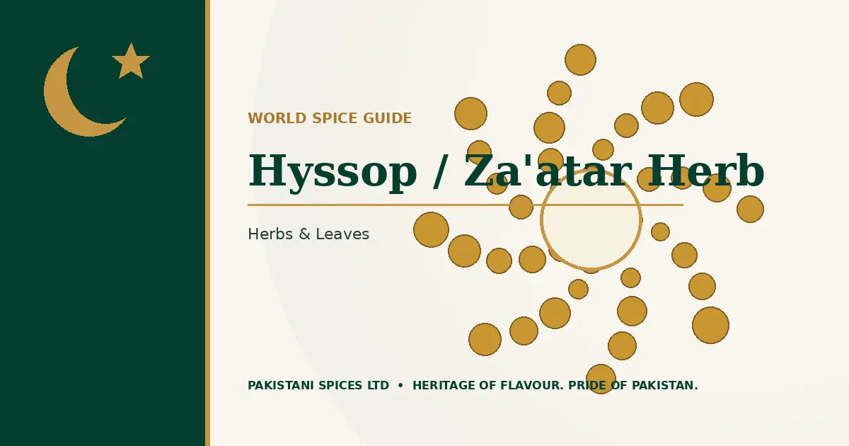 Hyssop / Za'atar Herb dedicated guide image