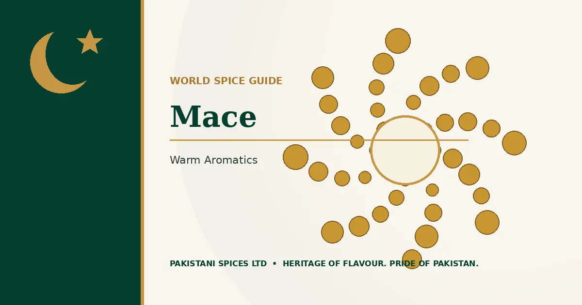 Mace dedicated guide image
