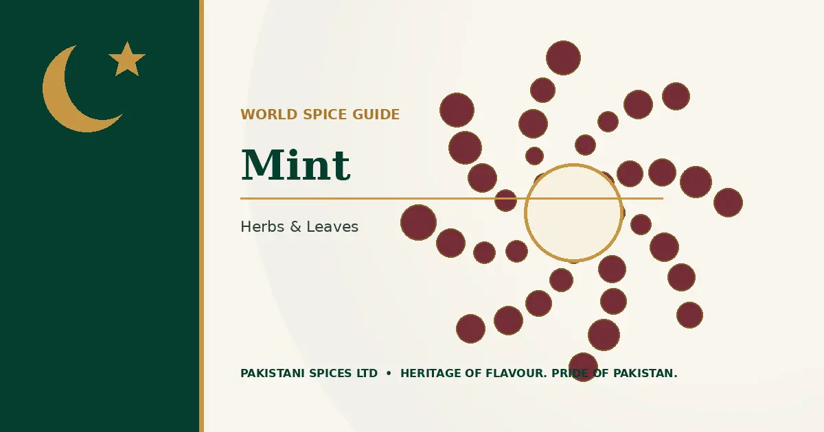 Mint dedicated guide image